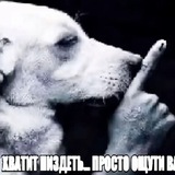 Telegram profile photo for Баланс черного