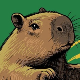 Telegram profile photo for $CAPYBARA