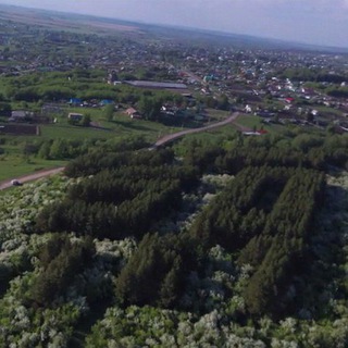 Telegram profile photo for Администрация Тогульского района