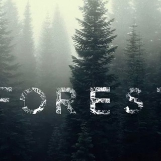 Telegram profile photo for FOREST 🌳/Фриланс и услуги ♥️