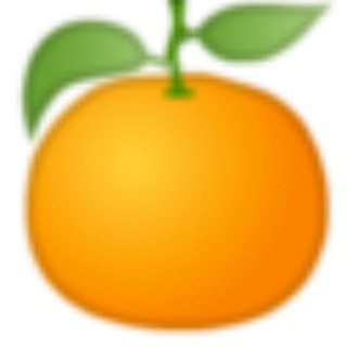 Telegram profile photo for Vidarbha Jobs