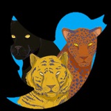 Telegram profile photo for Tuiteiros Antiracistas