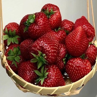 Telegram profile photo for ВИТАМИНЫ ОТ АМИНЫ ((03))