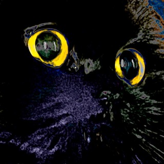 Telegram profile photo for 𝓥𝓸𝓲𝓭