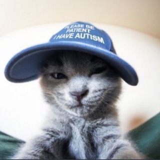 Telegram profile photo for Meme Factory