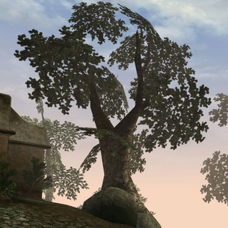 Telegram profile photo for Morrowind Screenshots