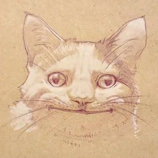 Telegram profile photo for Додаткова хромосома ➔ | #УкрТг