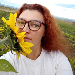 Telegram profile photo for Новости с Малиновой