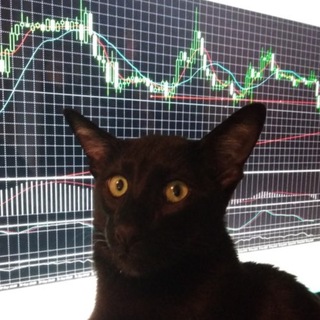 Telegram profile photo for gold experience