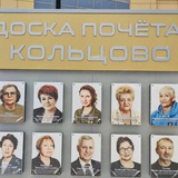 Telegram profile photo for Депутат Домрачева