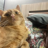 Telegram profile photo for Ахуееноне