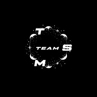 Telegram profile photo for TSMTEAM