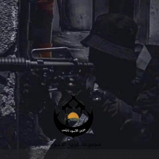 Telegram group profile photo for مجموعات عرين الأسود 🖤