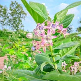 Telegram profile photo for Income bd help