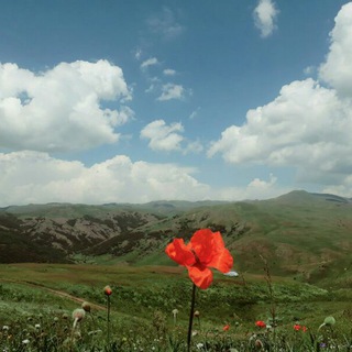 Telegram profile photo for با مرام های بلوکان