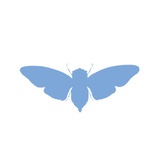 Telegram profile photo for #ЦИКАДЫ ⛈ #CICADA