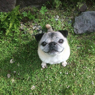 Telegram profile photo for архив фтра