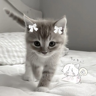 Telegram profile photo for кирса дура