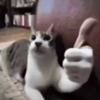 Telegram profile photo for Daily Dump