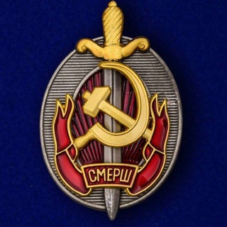 Telegram profile photo for Штаб Партизанского Движения Z🇷🇺