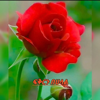 Telegram profile photo for ๐แแ
แญแ แ แแแ๐ท