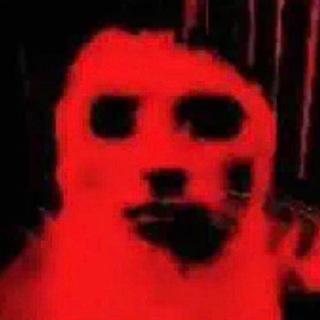 Telegram profile photo for φροzи