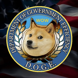 Telegram profile photo for Department Of Government Efficiency