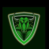 Telegram profile photo for Profit Pulse πΈ