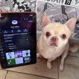 Telegram profile photo for Домик ТЁМКИ:)