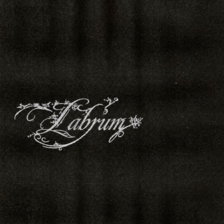 Telegram profile photo for Labrum