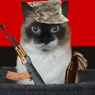 Telegram profile photo for Діашкіни мемчики