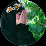Telegram profile photo for ارث الزهـراء ✧ ستوريات حسينيه _رمزيات حسينية _ليلة الجمعة ⁽♔₎┋دِآر آلُِمتقٌين ┋✧ حسينيات 🕊