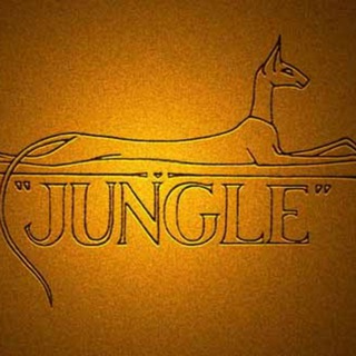 Telegram profile photo for Питомник JUNGLE Ориентальные и сиамские кошки.