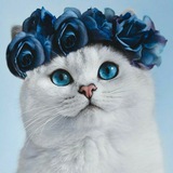 Telegram profile photo for غْٰٰٰيـَٰـُمٌٰـٌْٰٰٰٰۿہ ¦ ˛☁️💙