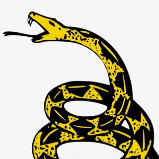 Telegram profile photo for Veritas Quaesitor