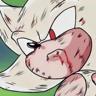 Telegram profile photo for memfis regret?