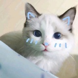 Telegram profile photo for Archive π
