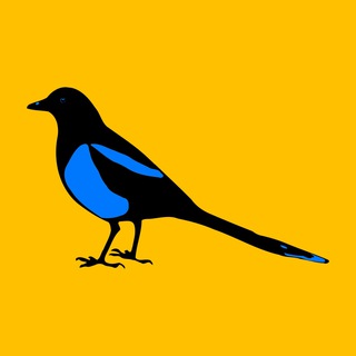 Telegram group profile photo for Тароки - Сороки