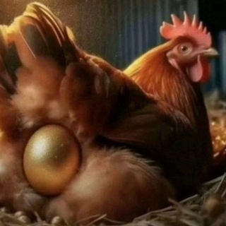 Telegram profile photo for цитатник н*х