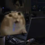 Telegram profile photo for переходник