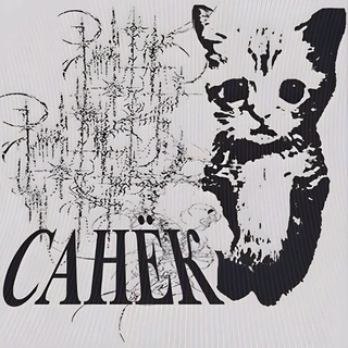 Telegram profile photo for БОЛЬШЕ НЕ МОЛЧИТ САНЕК👾