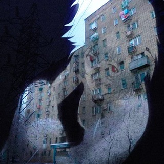 Telegram profile photo for i̶̶n̶̶f̶̶o̶̶