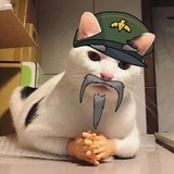 Telegram profile photo for Сын хуйни