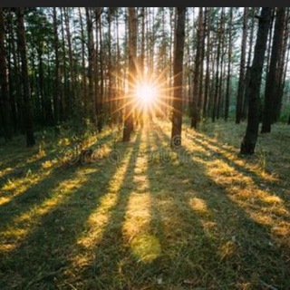Telegram profile photo for Patriot Poems