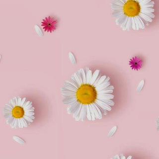 Telegram profile photo for دلبـرونـ💕ــه☽︎☆ ·𓏲 ࣪𓄹៸៸