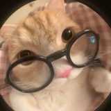 Telegram profile photo for (◍•ᴗ•◍)❤