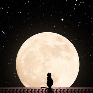 Telegram profile photo for о чём молчат кошмары