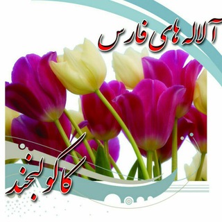 Telegram profile photo for آلاله های کاکو لبخند 🌷🌷
