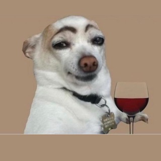 Telegram profile photo for Imbecily_official