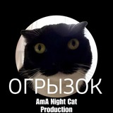Telegram profile photo for 📢AmA Night Cat Production